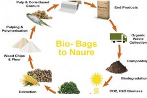Những điều cần biết về nhựa phân hủy sinh học(Bio-Degradable plastics)