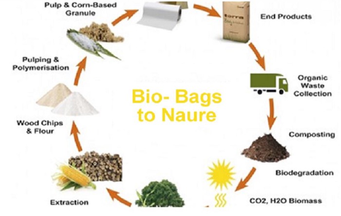 Túi tự hủy sinh học có thể phân hủy nhanh chóng trong môi trường nào?