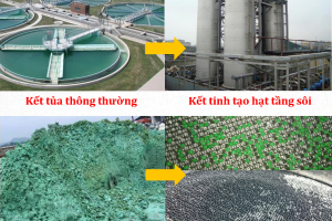 Tiềm năng áp dụng công nghệ tạo hạt tầng sôi thu hồi nitơ, phospho và kali trong nước thải trang trại chăn nuôi lợn theo hướng kinh tế tuần hoàn tại Việt Nam