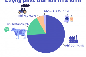 Tìm hiểu về “Khí Nhà Kính” và quy trình kiểm kê khí nhà kính