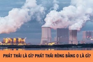 Mô hình định giá các-bon trên thế giới và bài học kinh nghiệm cho Việt Nam