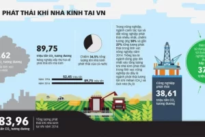 Khai thác “mỏ vàng” tín chỉ carbon