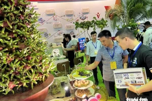 Ngành dệt may mất đơn hàng về tay Bangladesh vì chậm chuyển đổi xanh