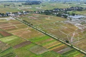 Điều tra, đánh giá đất đai chưa được các địa phương quan tâm đúng mức