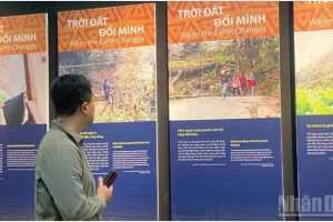 “Gieo xanh nơi đỉnh mây”: Chuyện về những người phụ nữ vùng cao với nỗ lực bảo tồn di sản