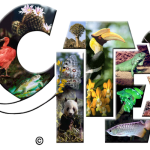 Thông báo công bố Danh mục động vật, thực vật thuộc Phụ lục Công ước về buôn bán quốc tế các loài động vật, thực vật hoang dã nguy cấp sau khi được Hội nghị các quốc gia thành viên CITES lần thứ 20 thông qua