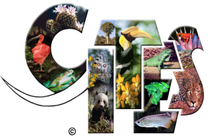 Thông báo công bố Danh mục động vật, thực vật thuộc Phụ lục Công ước về buôn bán quốc tế các loài động vật, thực vật hoang dã nguy cấp sau khi được Hội nghị các quốc gia thành viên CITES lần thứ 20 thông qua